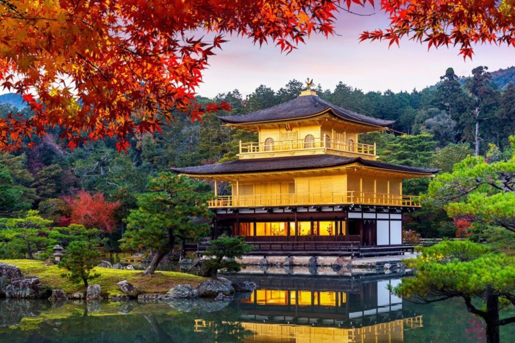 Japan Family Packages