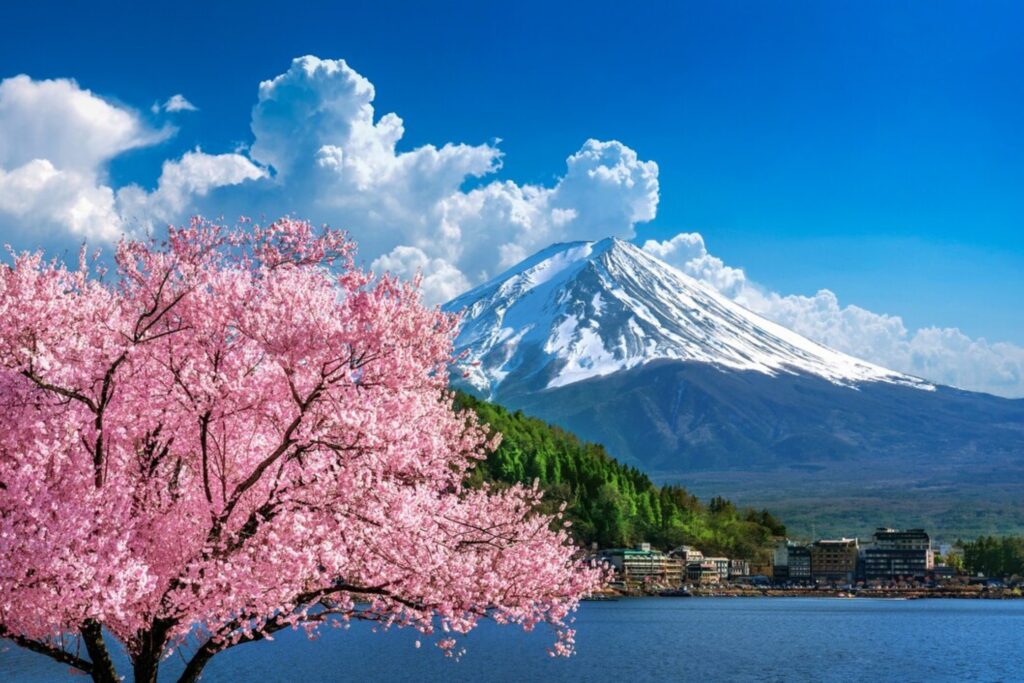 Book Japan Cherry Blossom Tour Packages