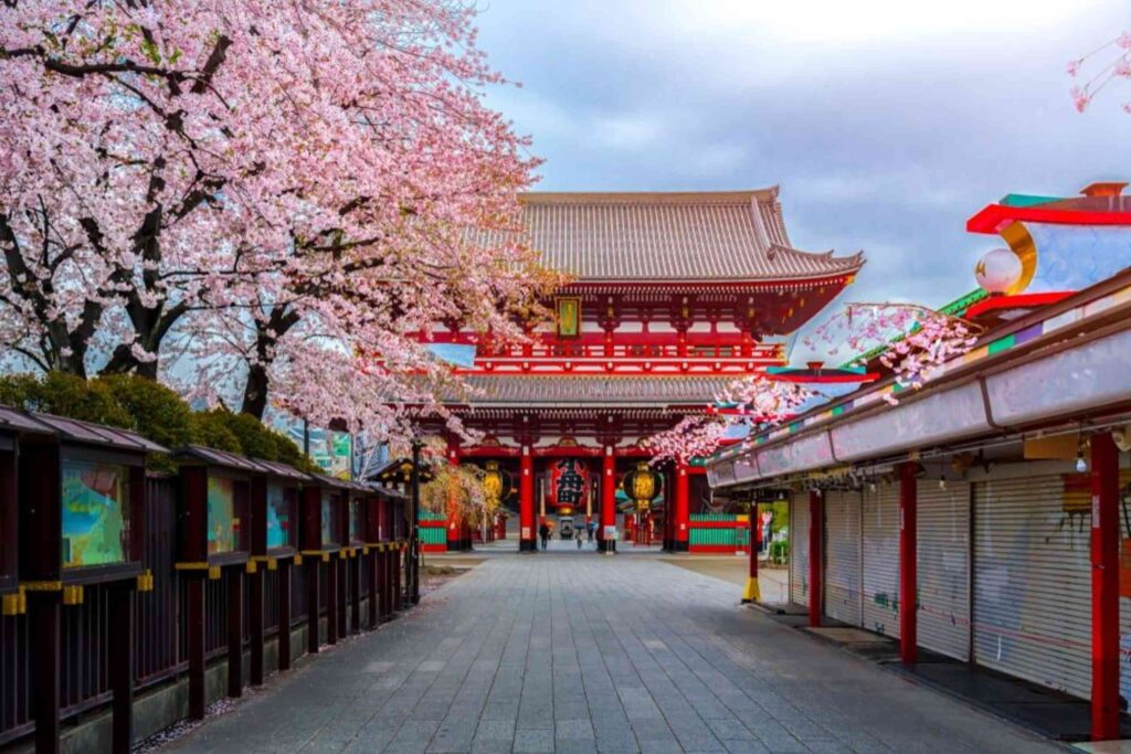 Japan Trip from India