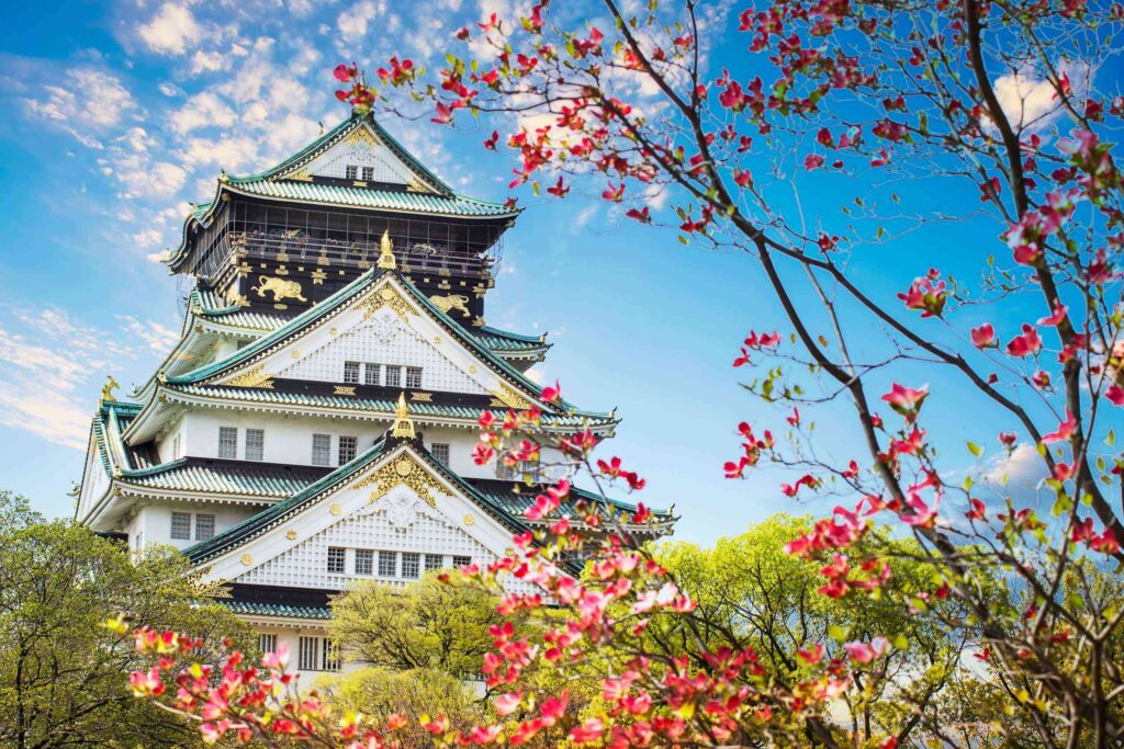 Best Japan Tour Package
