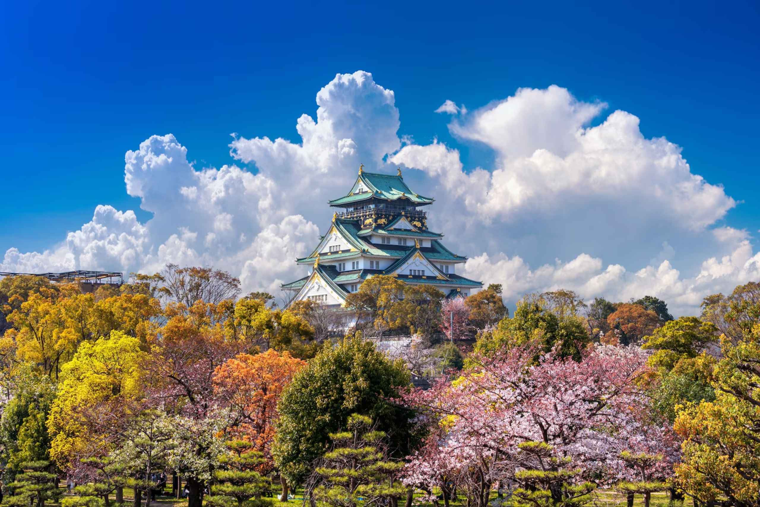 How to Choose the Best Japan Tour Package for Your Travel Style