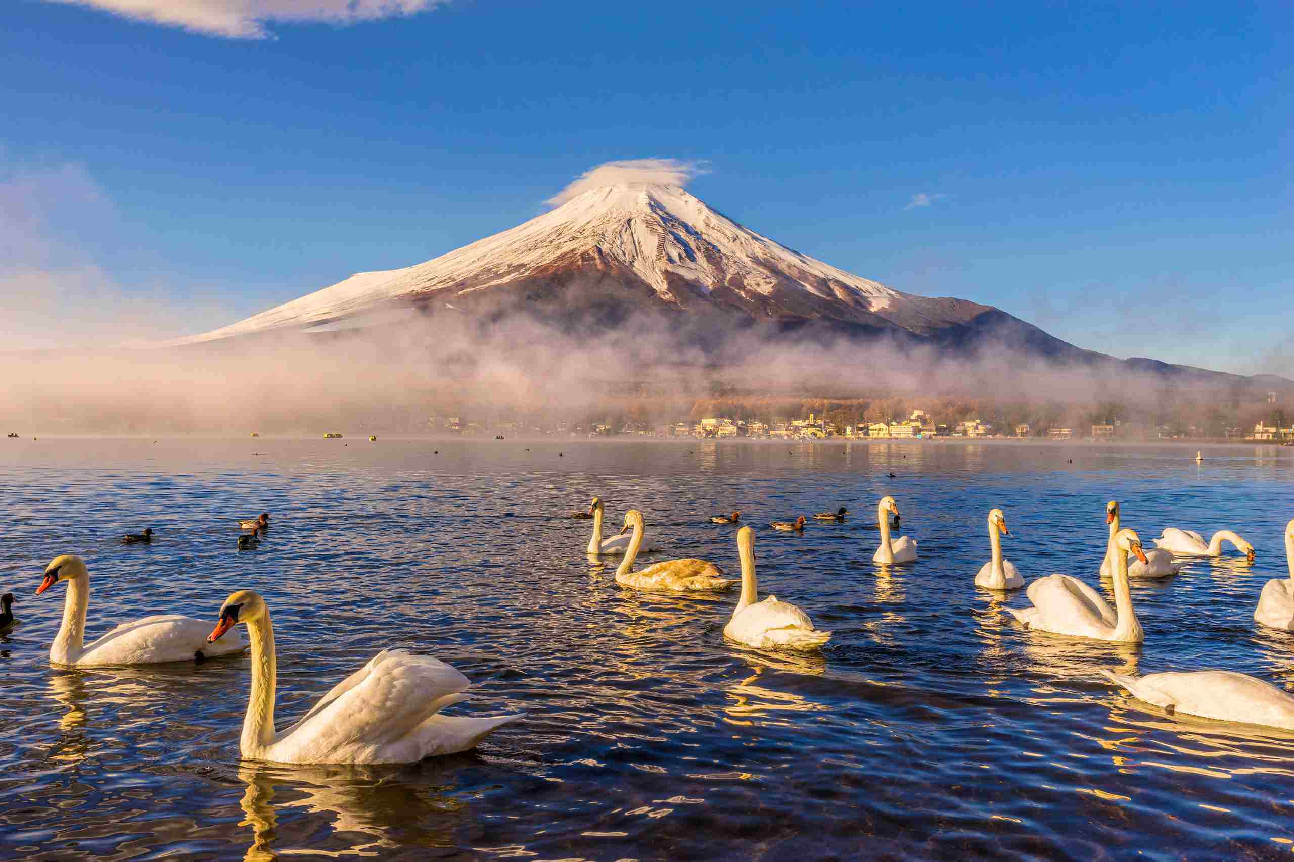 Japan Trip Package from India- A Complete Guide for First-Time Travelers