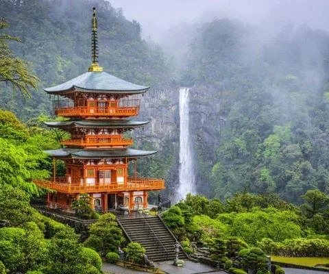 No.1 Japan Group Tour Packages | Reserve Your Spot Now